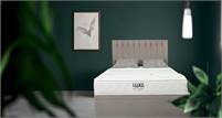  Luxe Mattress Ltd